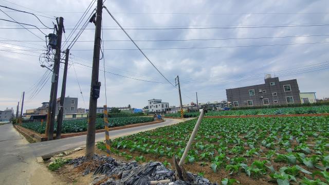 高雄路竹農地-9