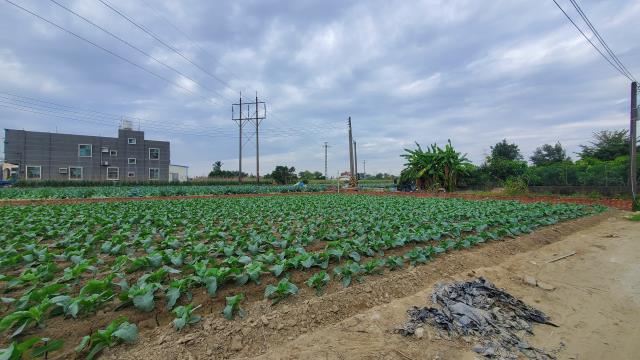 高雄路竹農地-10