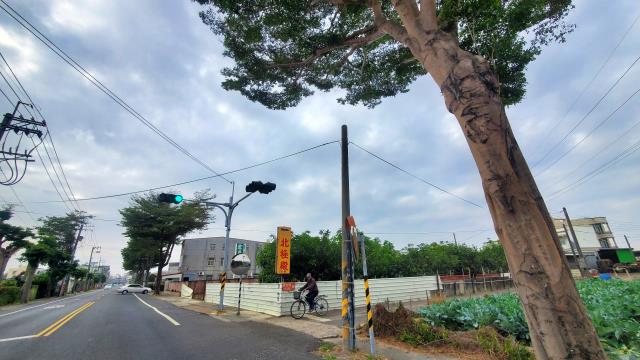 高雄路竹農地-2