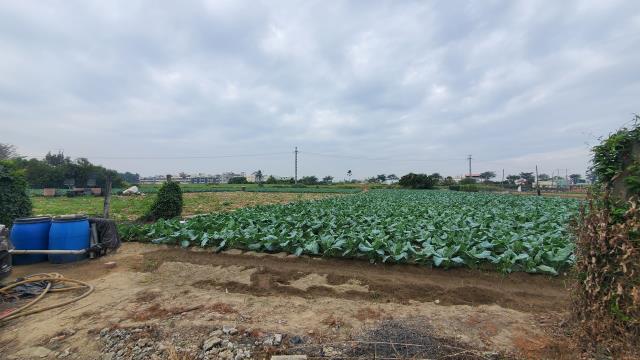 高雄路竹農地-7
