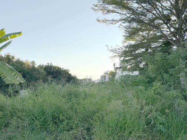 善化工業地-0