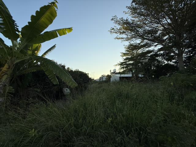善化工業地-3