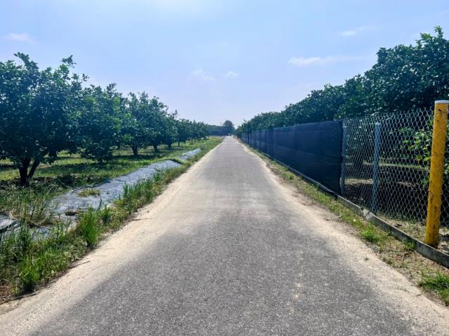 台南麻豆農地-4