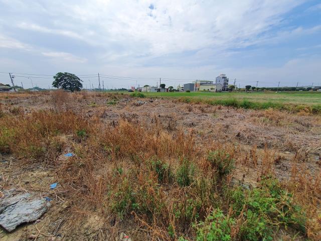 台南官田農地-1