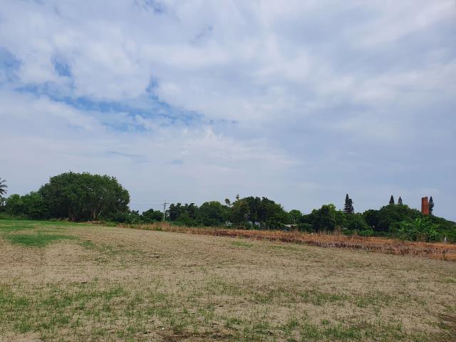 台南官田農地-4