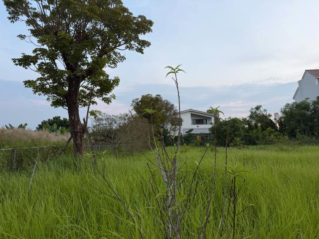 台南關廟農地-12